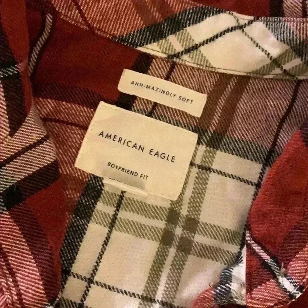 American eagle - Picture 2 of 2